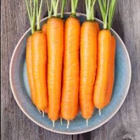 Carrot - Napoli - Organic