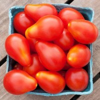 Tomato - Red Pear - Organic